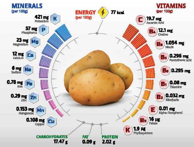 Thành phần dinh dưỡng có trong mỗi 100gr khoai tây